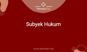 ulasan lengkap subyek hukum