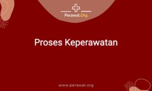 ulasan lengkap proses keperawatan