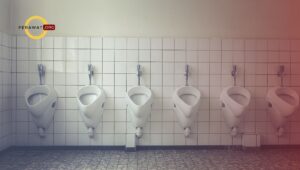 inkontinensia urin fungsional