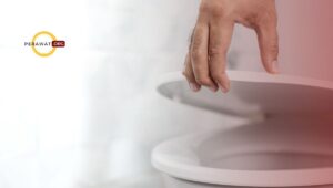 inkontinensia urin stres