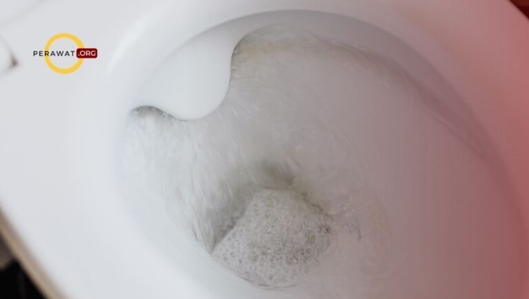 kesiapan peningkatan eliminasi urin