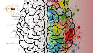 Pemeriksaan 12 saraf kranial