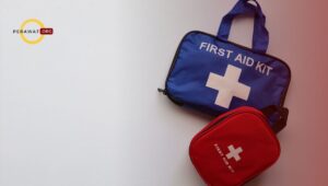 Pengkajian AMPLE survei sekunder