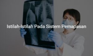 istilah umum sistem pernapasan