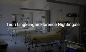 teori lingkungan florence nightingale