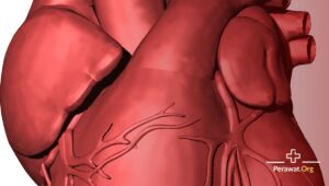 Penurunan curah jantung