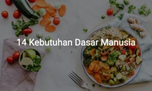 14 kebutuhan dasar manusia virginia henderson