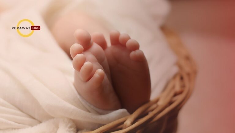 disorganisasi perilaku bayi
