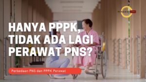 perawat pppk perawat pns