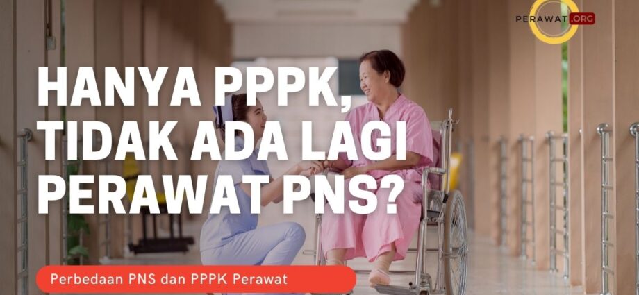 perawat pppk perawat pns