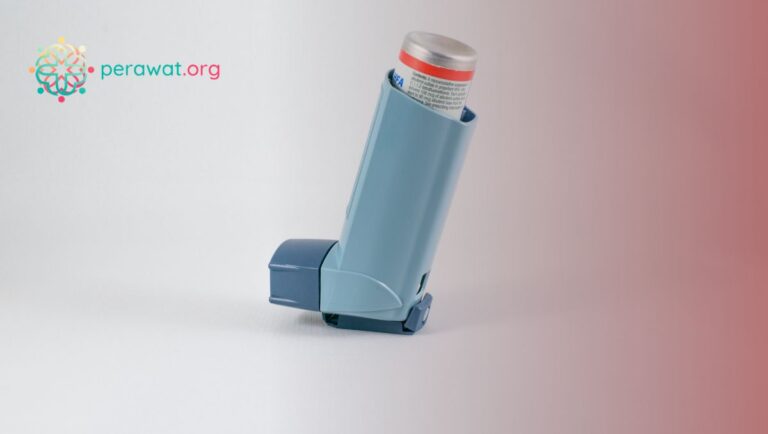 Materi edukasi obat bronkodilator