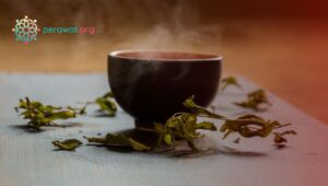 Materi edukasi obat ekspektoran