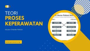 Teori proses keperawatan orlando