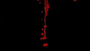 SOP Pemantauan Perdarahan